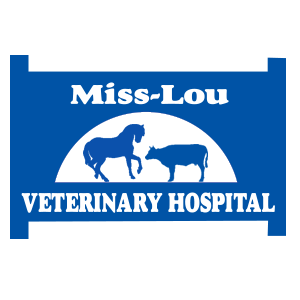 MissLou Vet Hospital